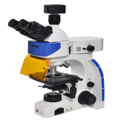 Trinocular Fluorescence Microscope LMFM-701